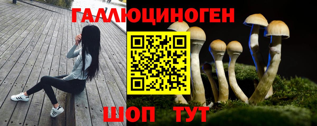 Псилоцибиновые грибы Psilocybine cubensis  Вход с VPN  Псилоцибиновые грибы MAGIC MUSHROOMS  Ртищево 