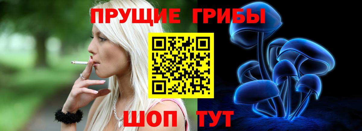Галлюциногенные грибы Magic Shrooms Ртищево